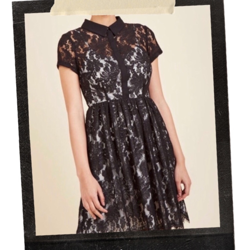 NWOT lace collared dress